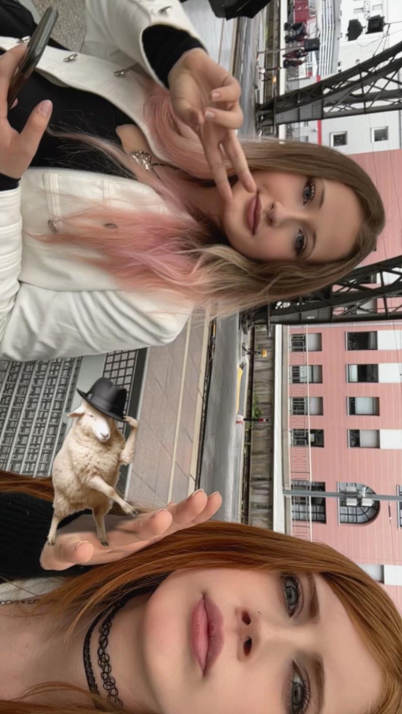 @😸