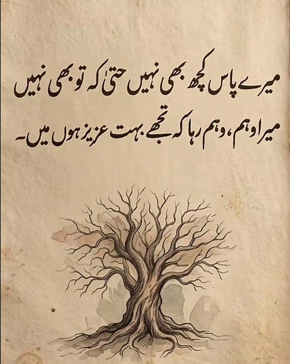 @Chaudhry 🇵🇰🇩🇪