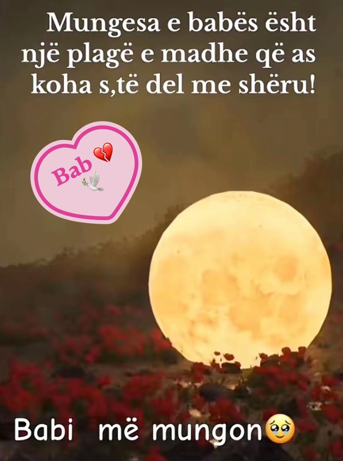 @Elsiana Hysenaj