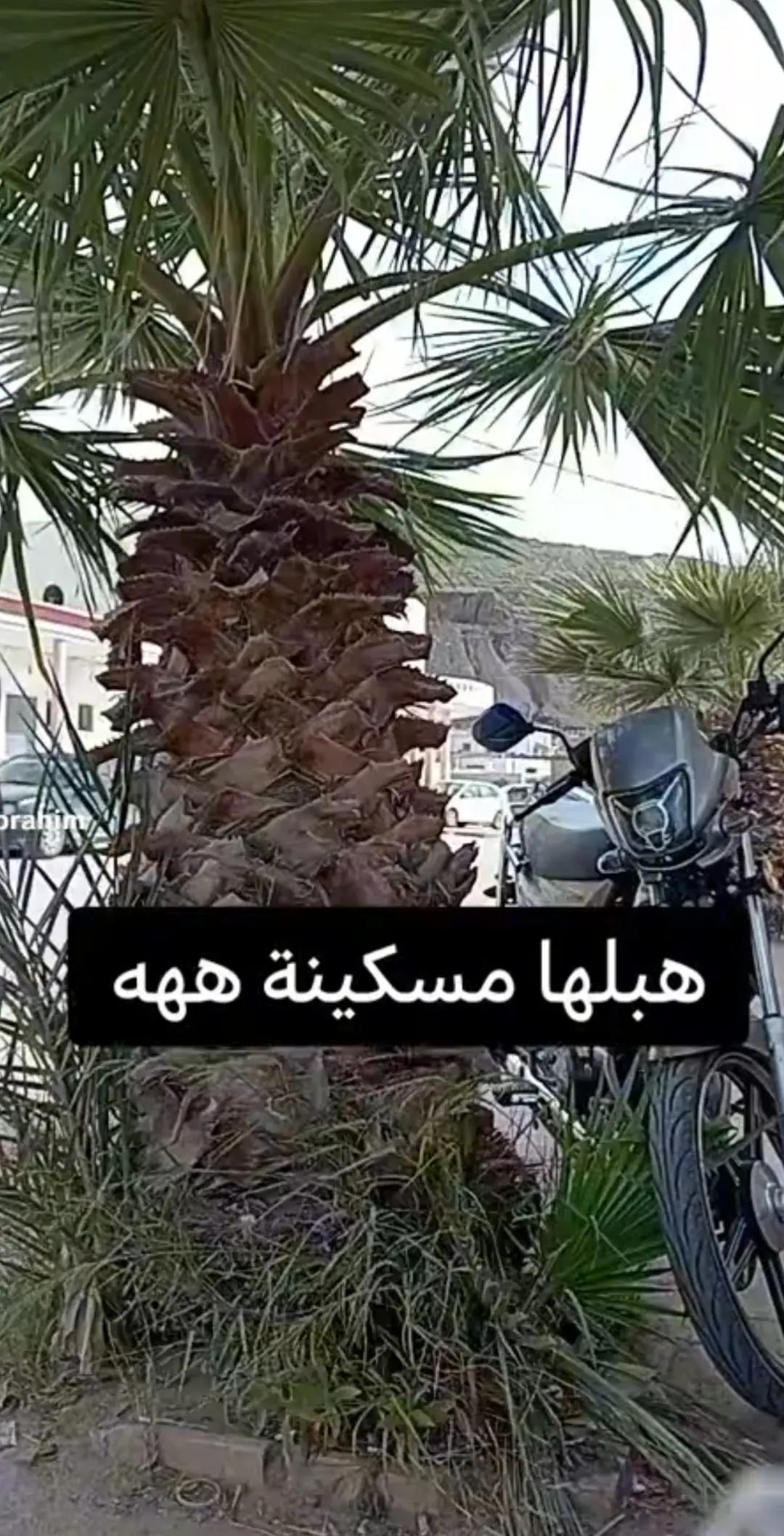 @nedoucha