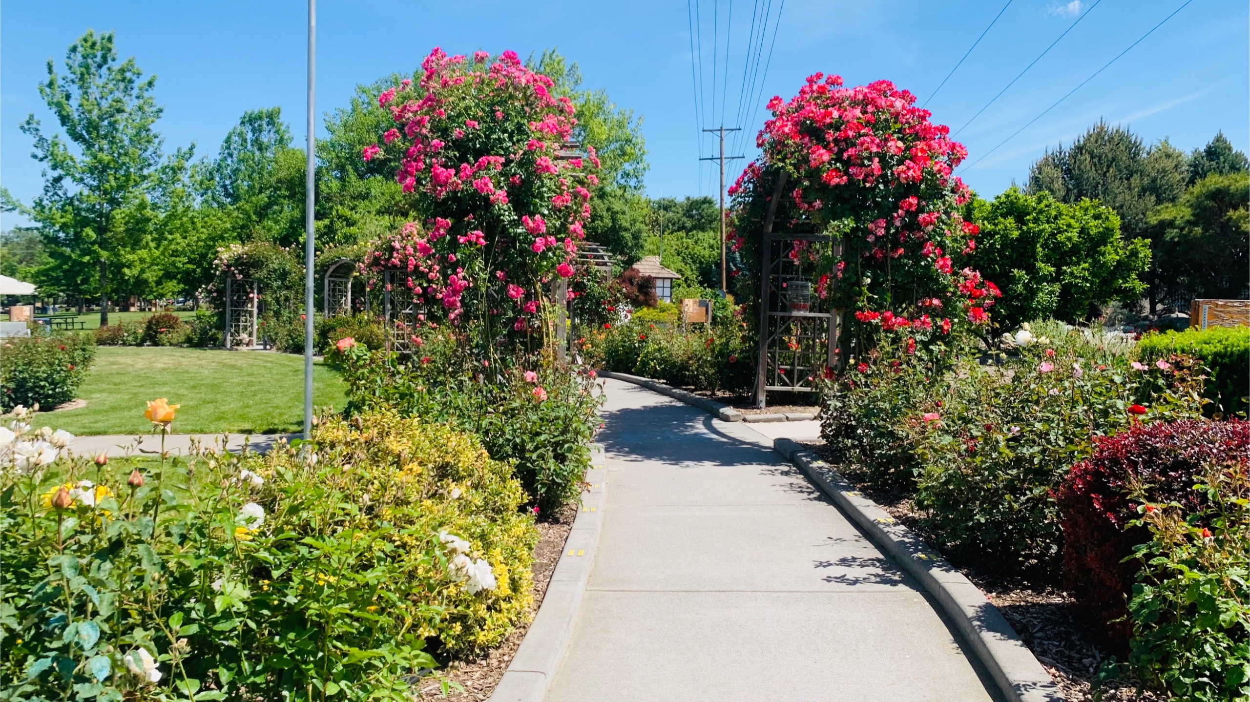 @๐ ๐๐ถ๐๐ ๐ฑ๐พ๐๐๐ถ ๐