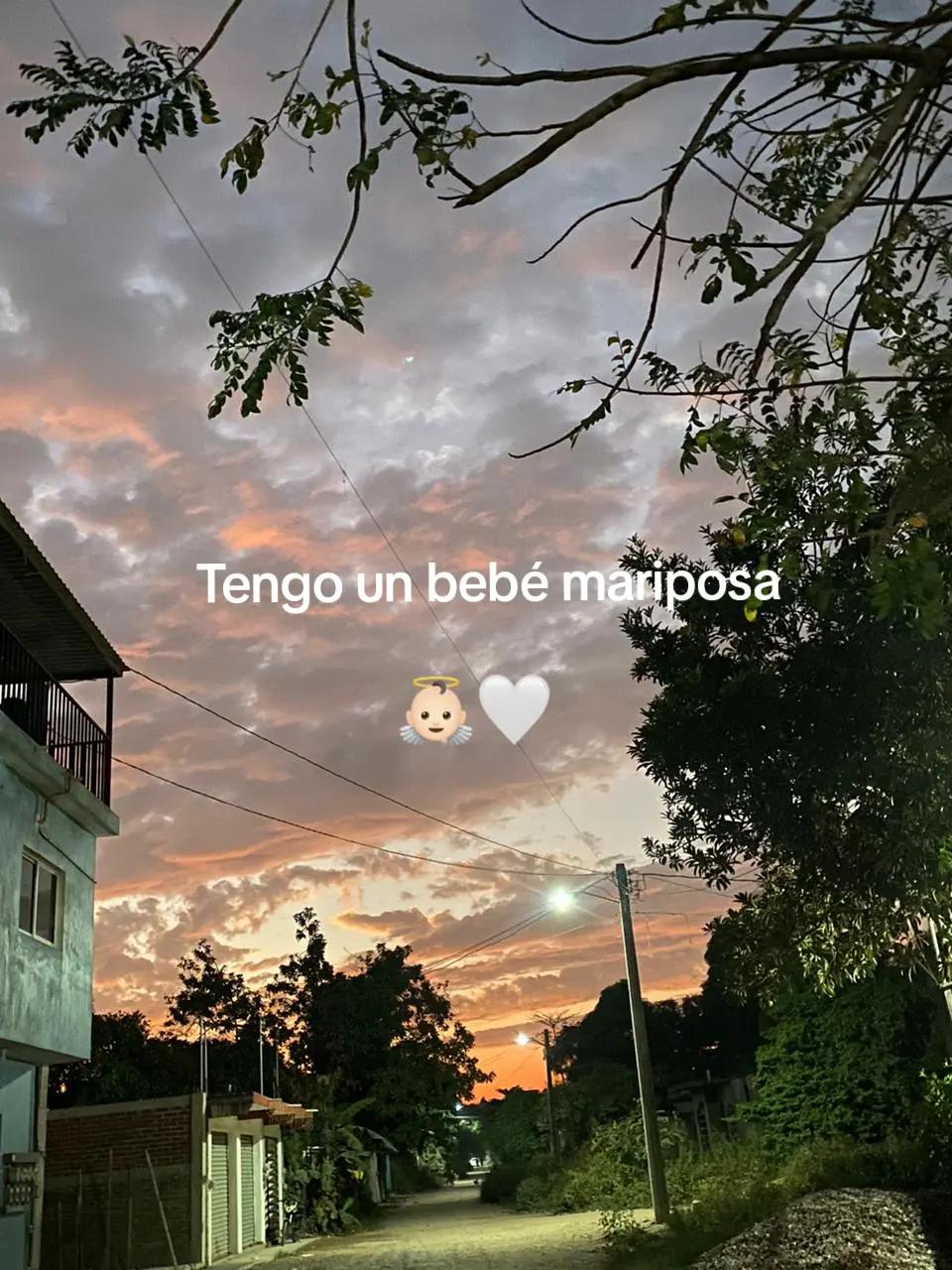 @joana_oficial