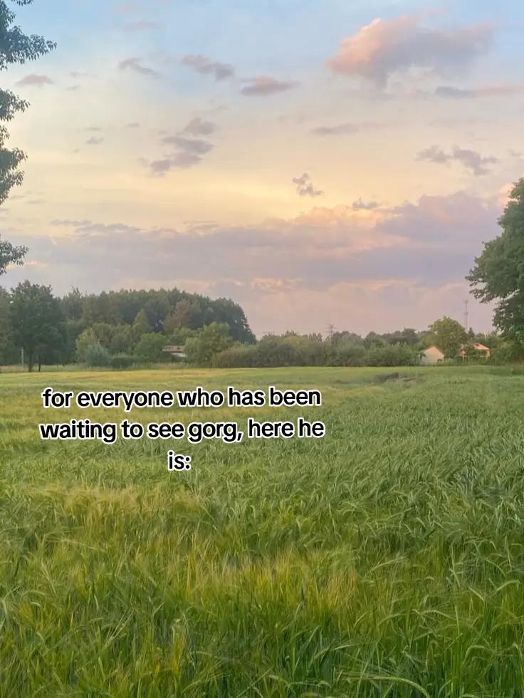 @𝓐𝓬𝓮