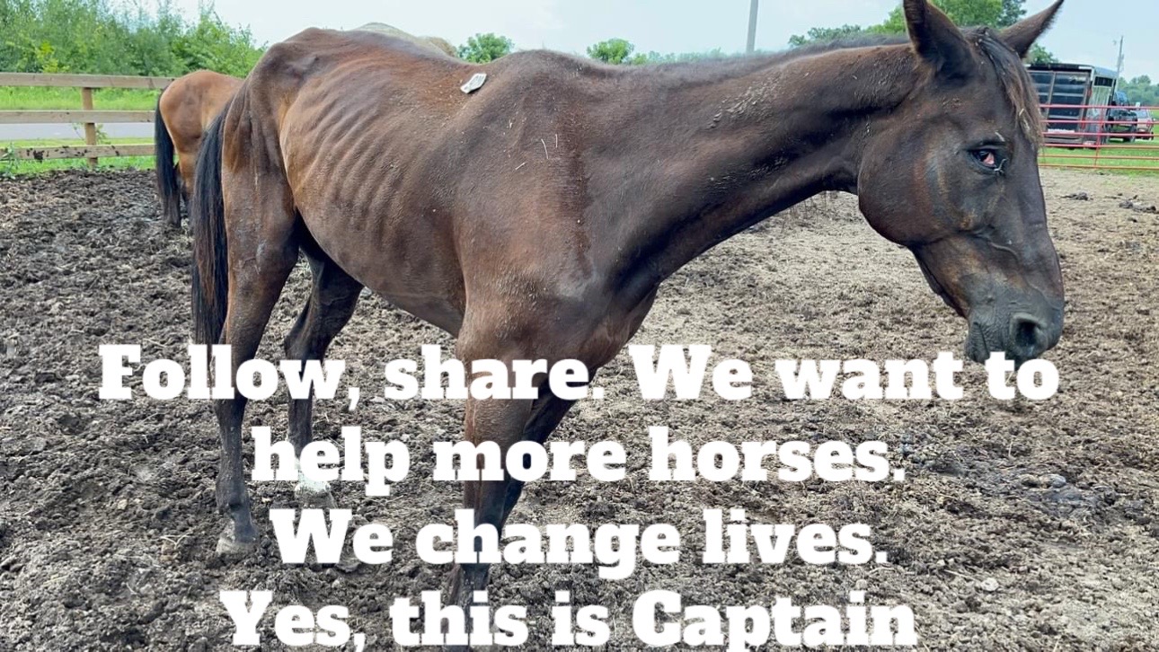 @Safe Place Pastures, Inc.