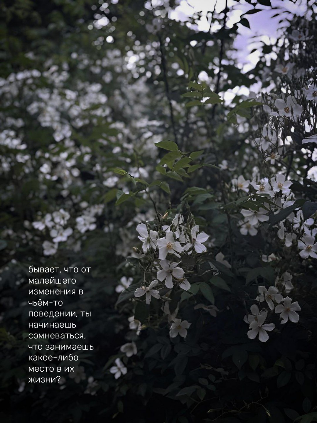 @m🌻