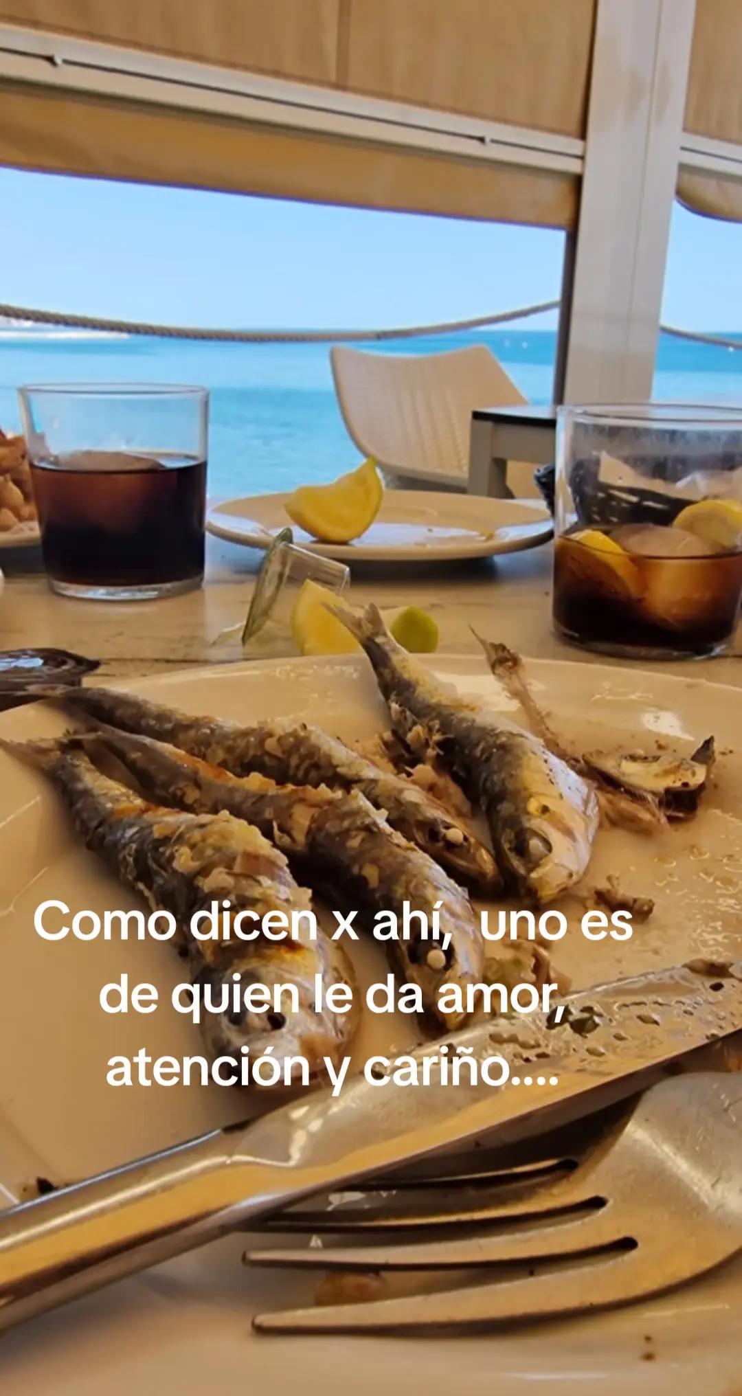 @patricia marti