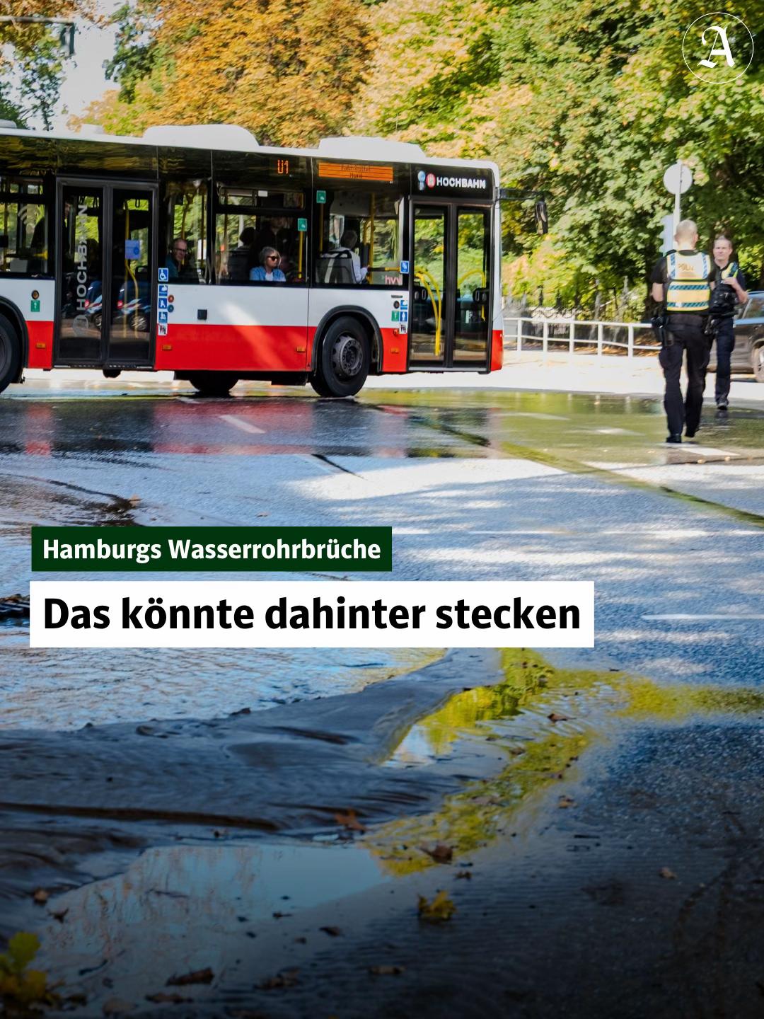 @Hamburger Abendblatt