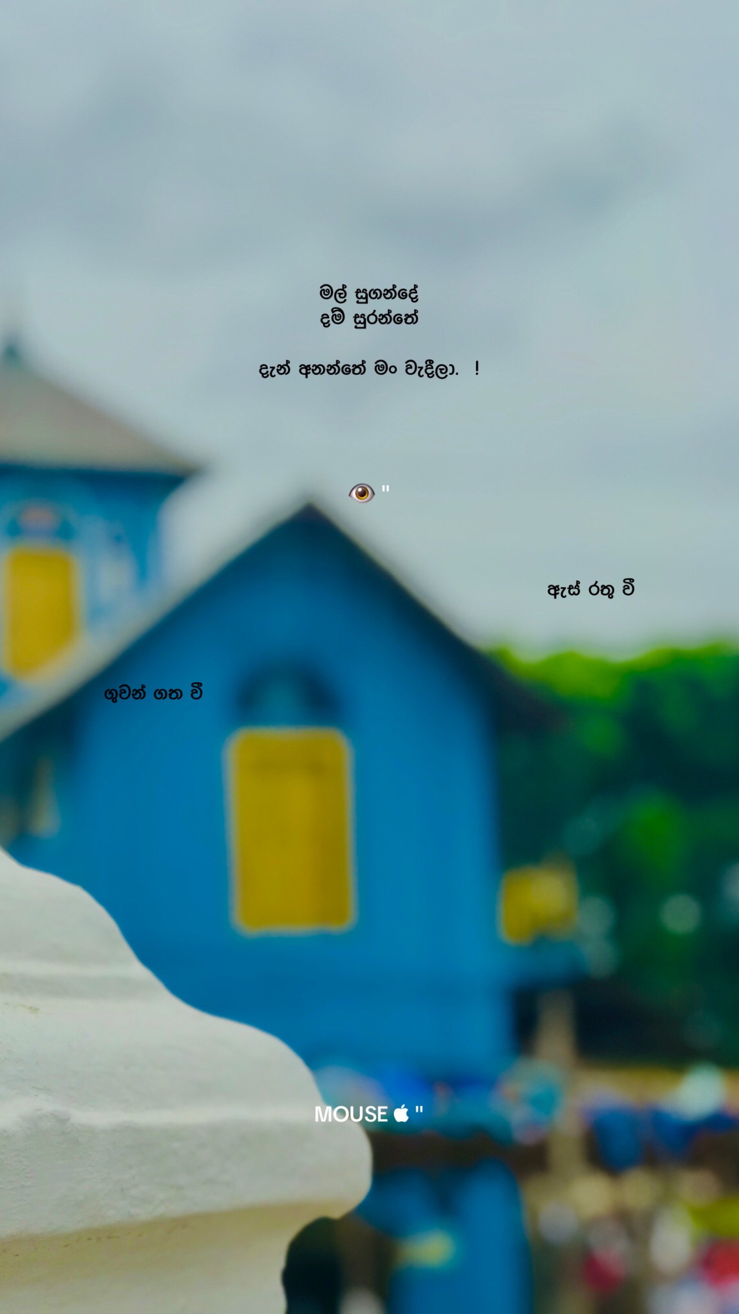 @• MOUSE "