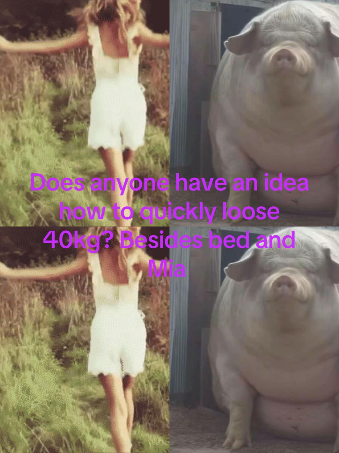 @⭐️