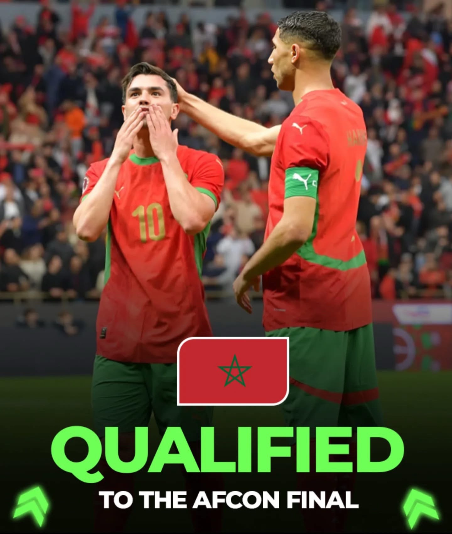 @🇲🇦 Moroccan Lion 🦁