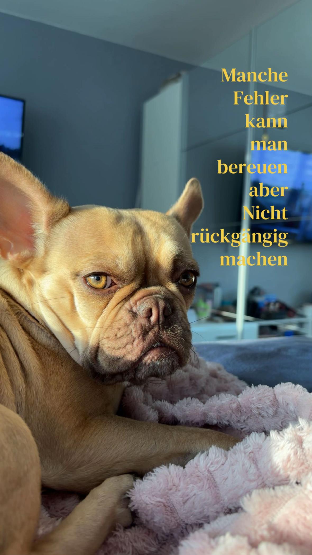@🤨