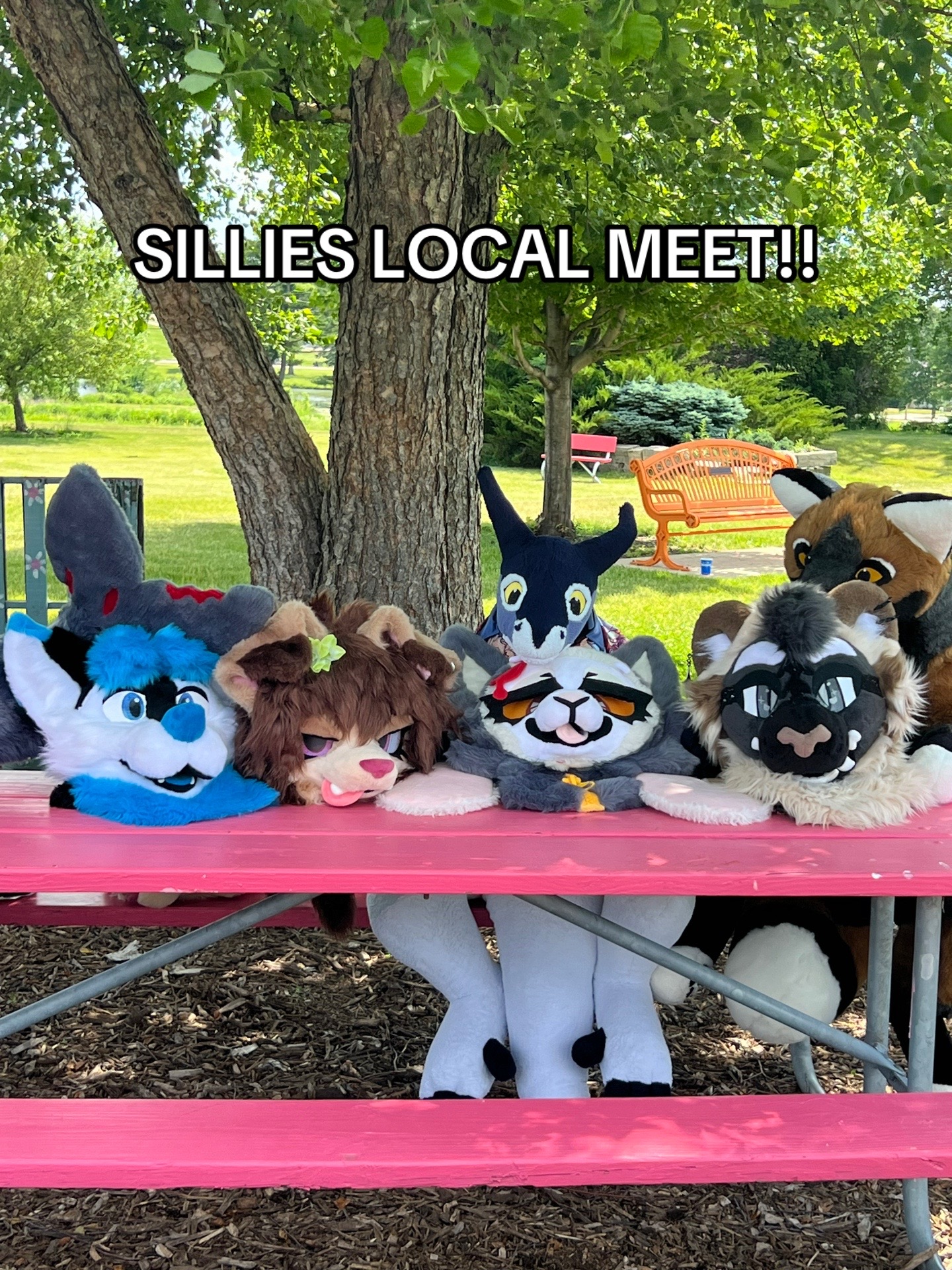@Y&rsquo;alltism🔜Megaplex