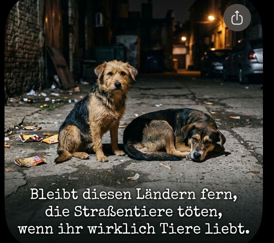 @Lua Team🐈🐕🦺Löwenherz❤️🦁