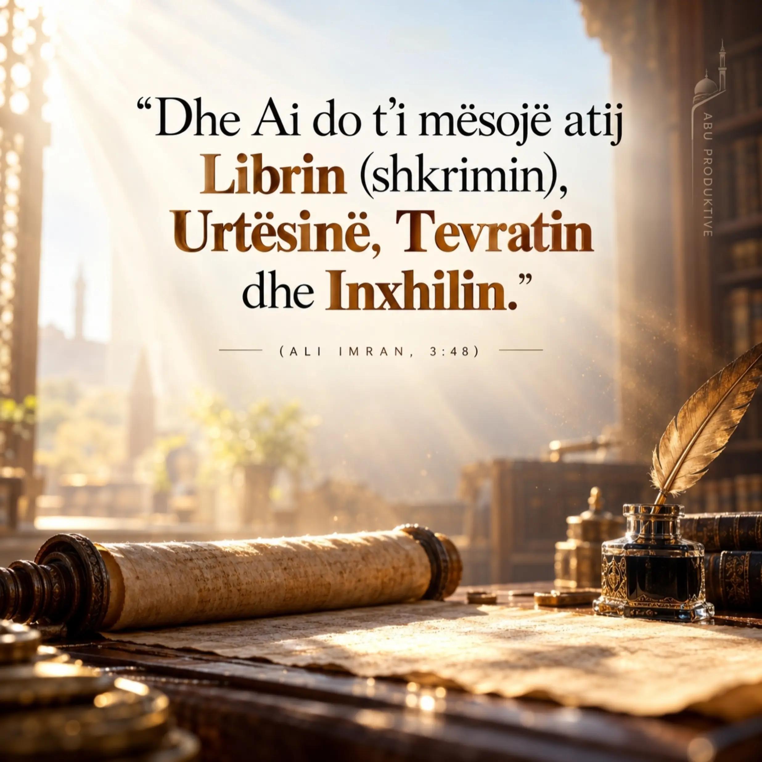 @AbuProductive ✅