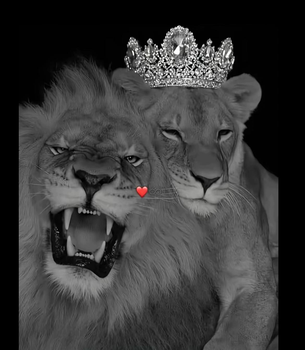 @𝒢ℯℴ𝓇𝑔𝒾𝓃𝒶 𝓀𝓇𝒶𝓊𝓈