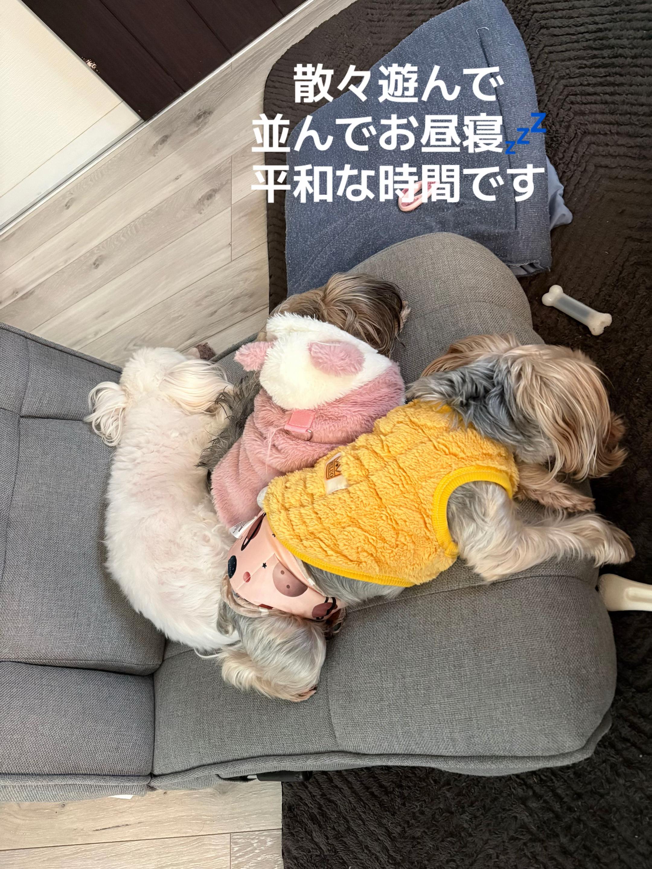 @ビビまるトンチャー