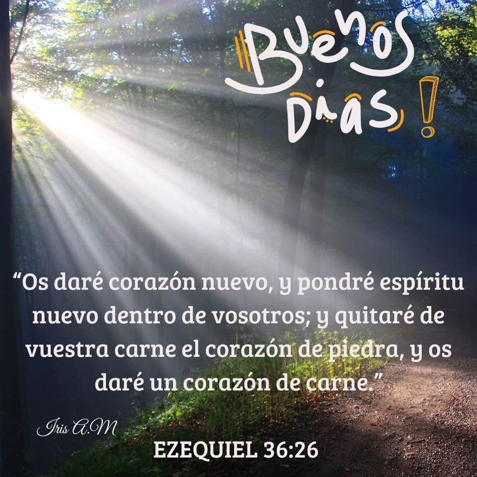 @📖REFLEXIONES BÍBLICAS REYES