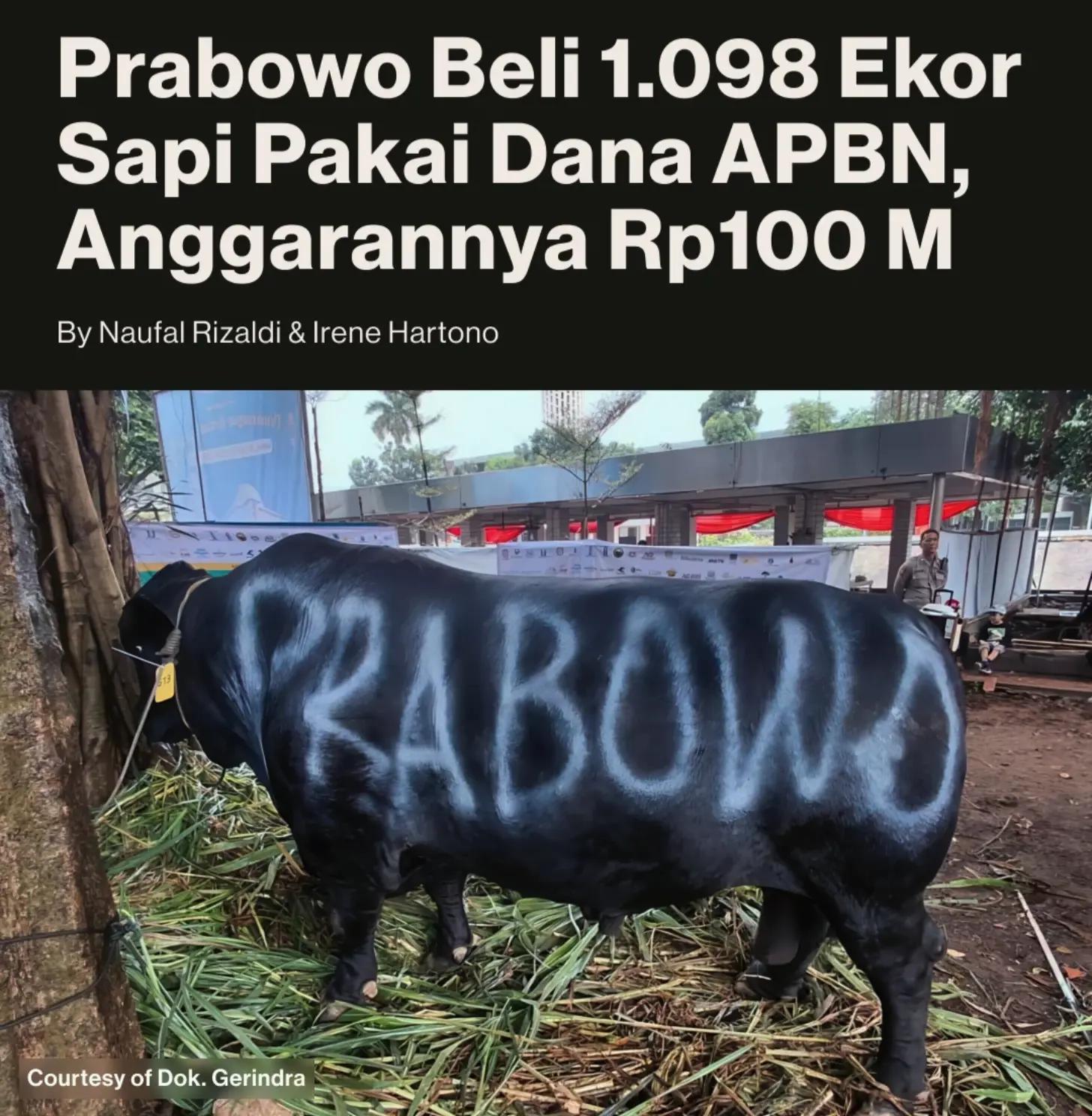 @enoBarca_