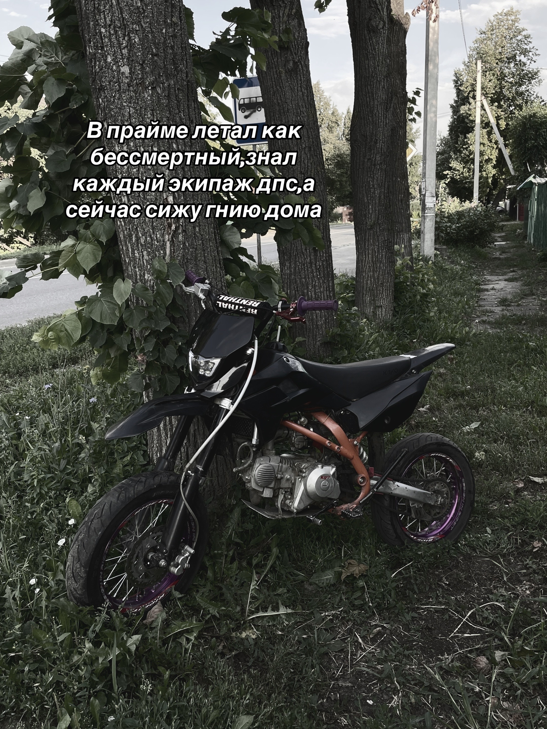 @ЙОШКАРОЛИНСКИЙ КАЙОВОД