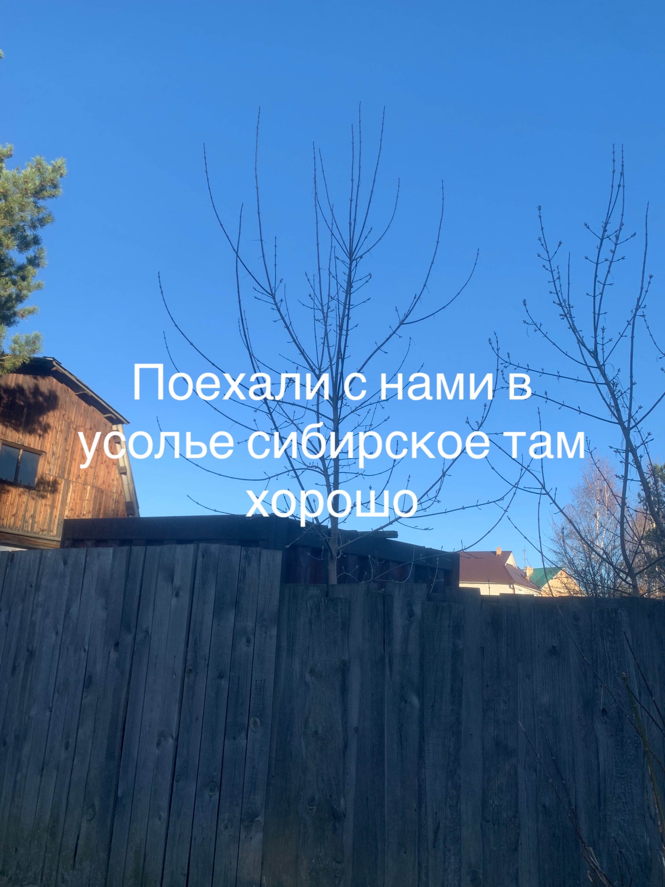 @leonid