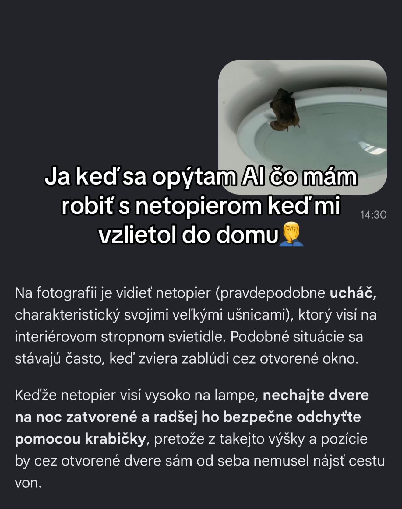 @Marek25