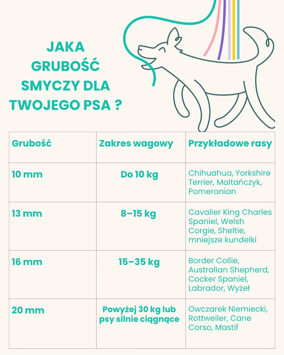 @hauka.dog
