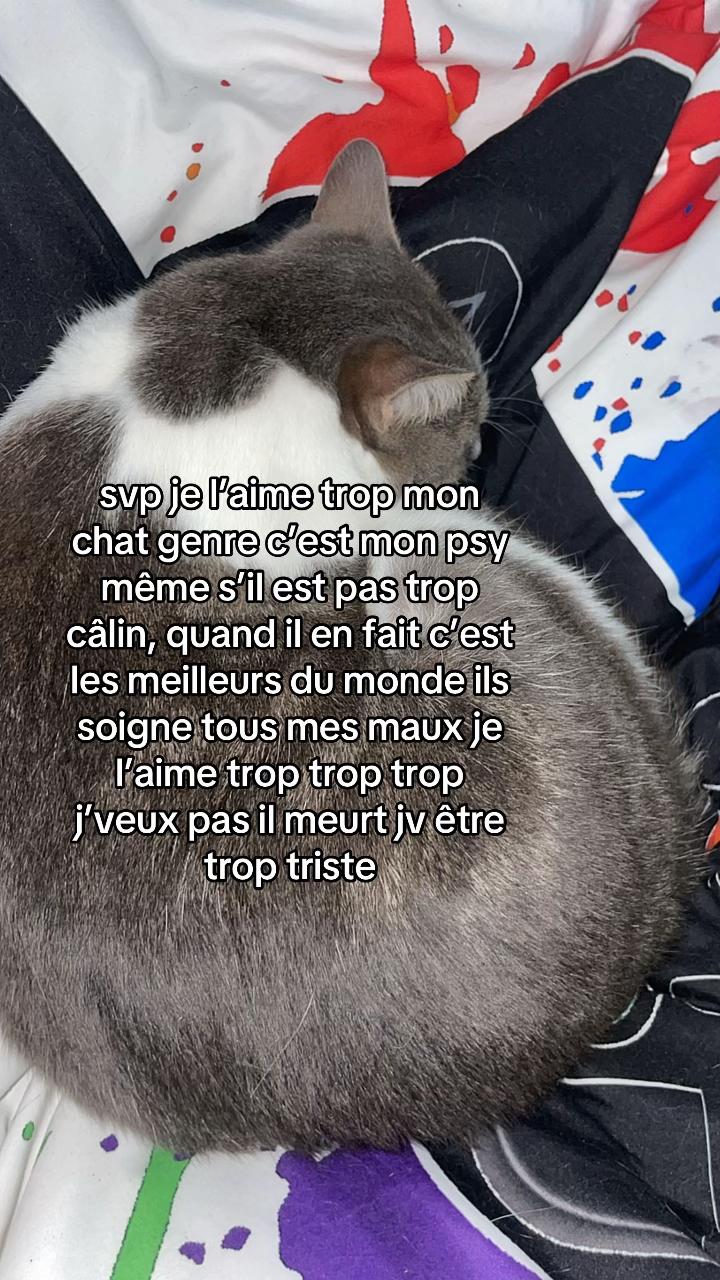 @locolorax1