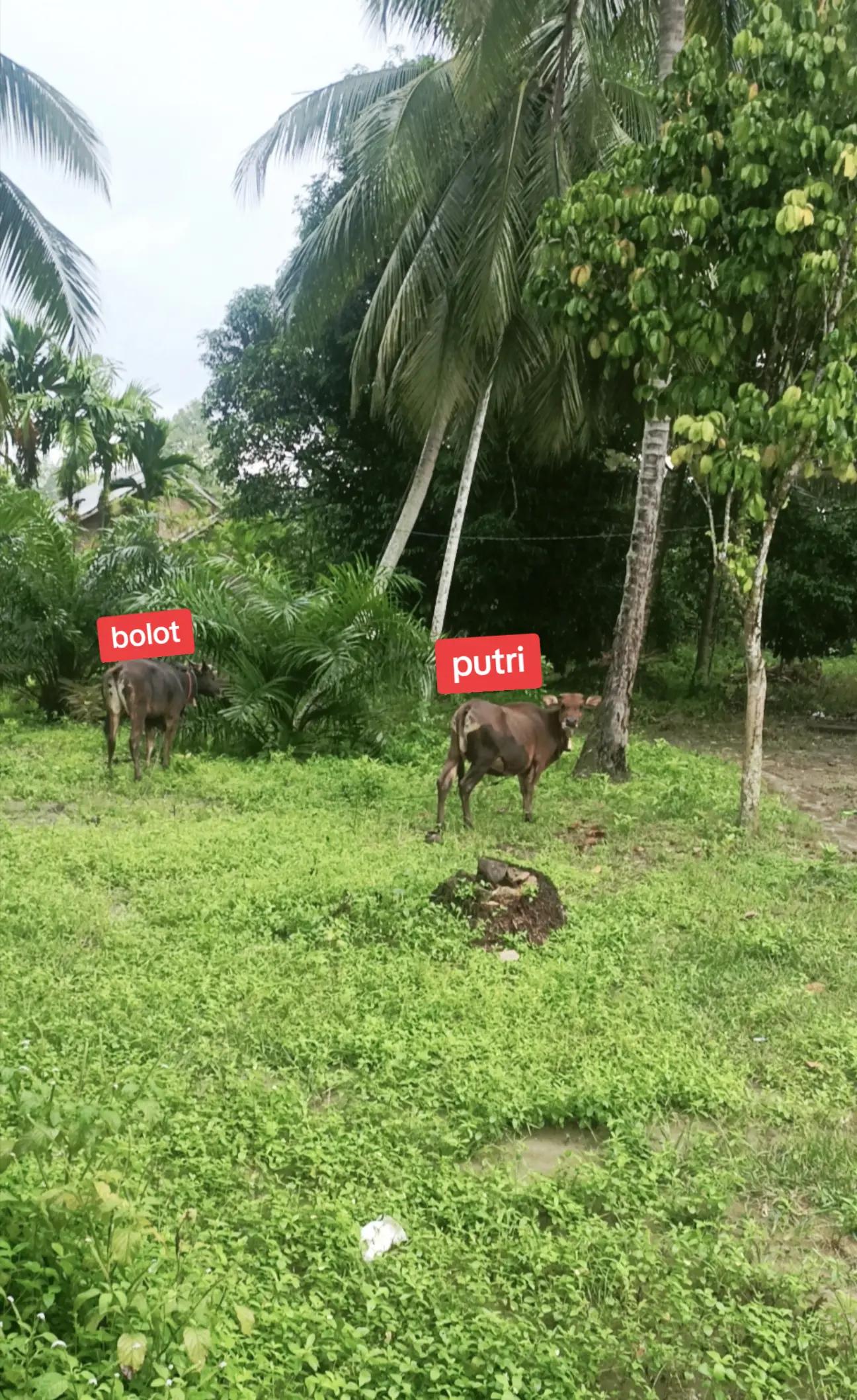 @𝗔𝗯𝗶 𝗟𝗞𝟵𝟲