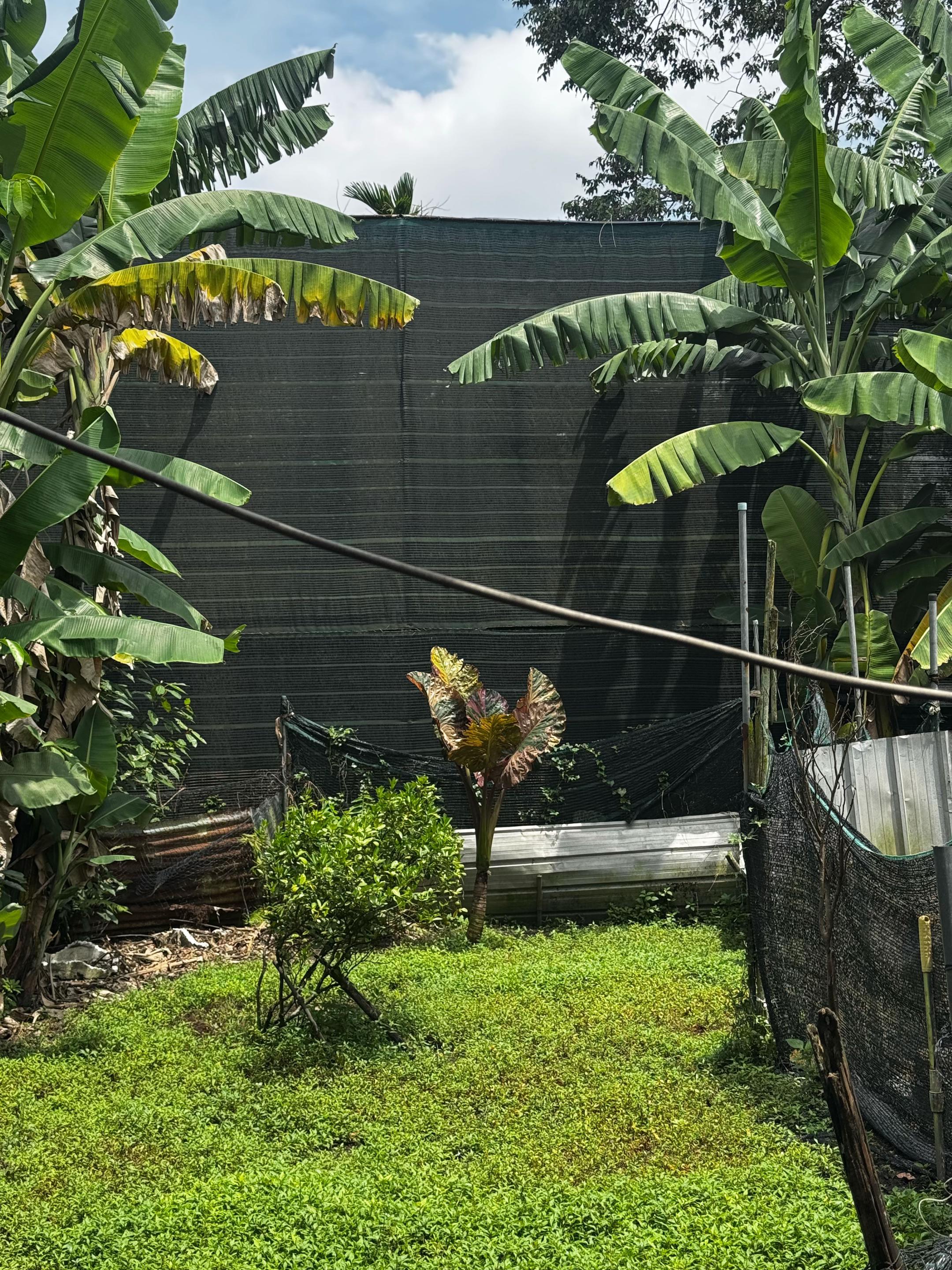 @Don&rsquo;s Garden