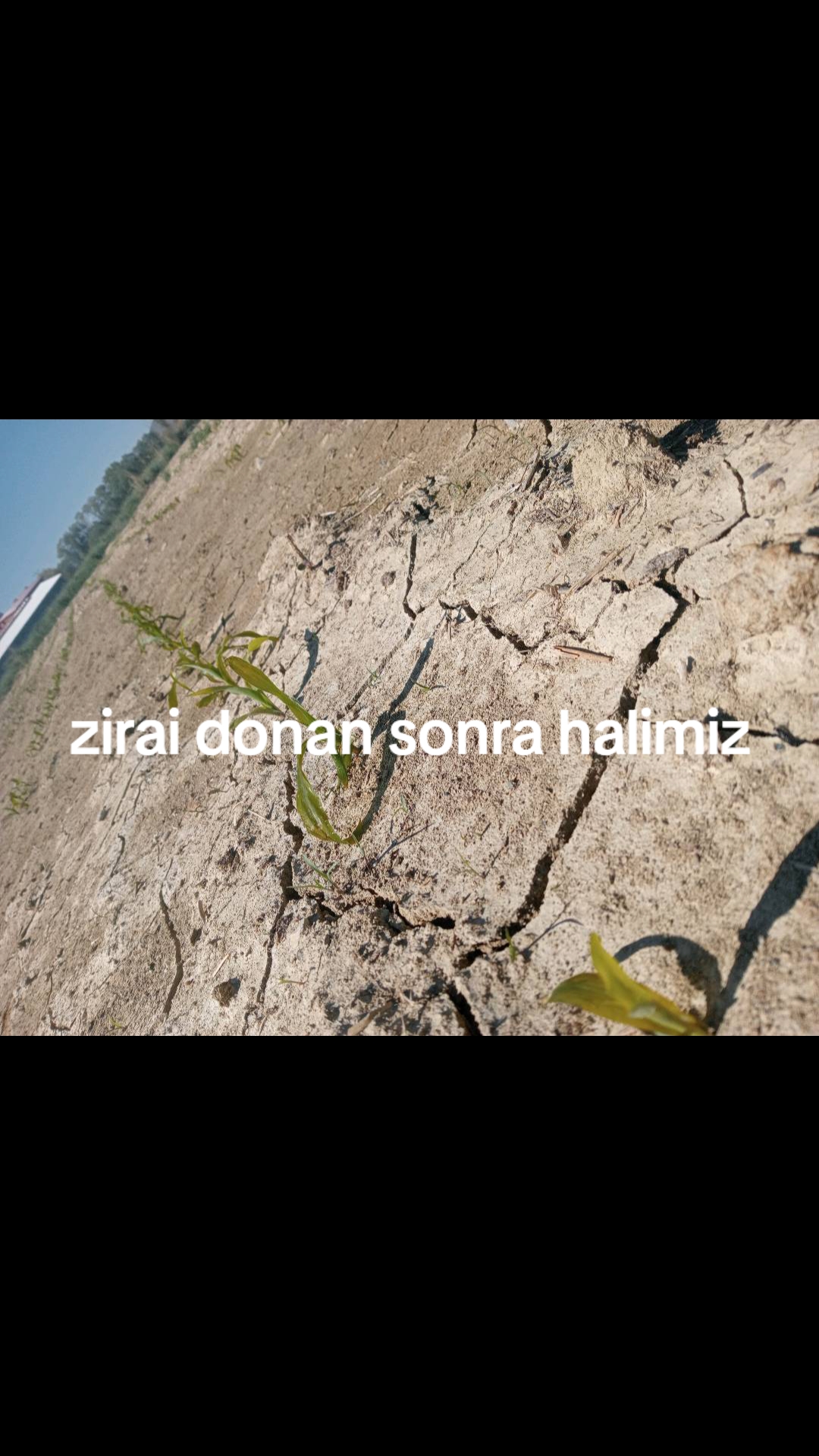 @murat süngü