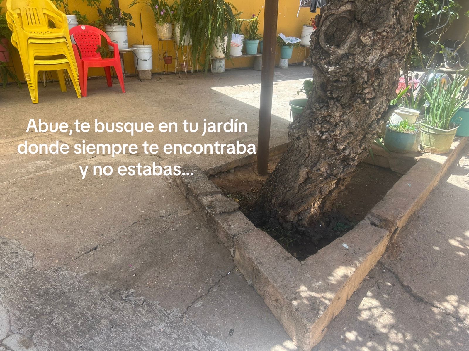 @Maira Gomez