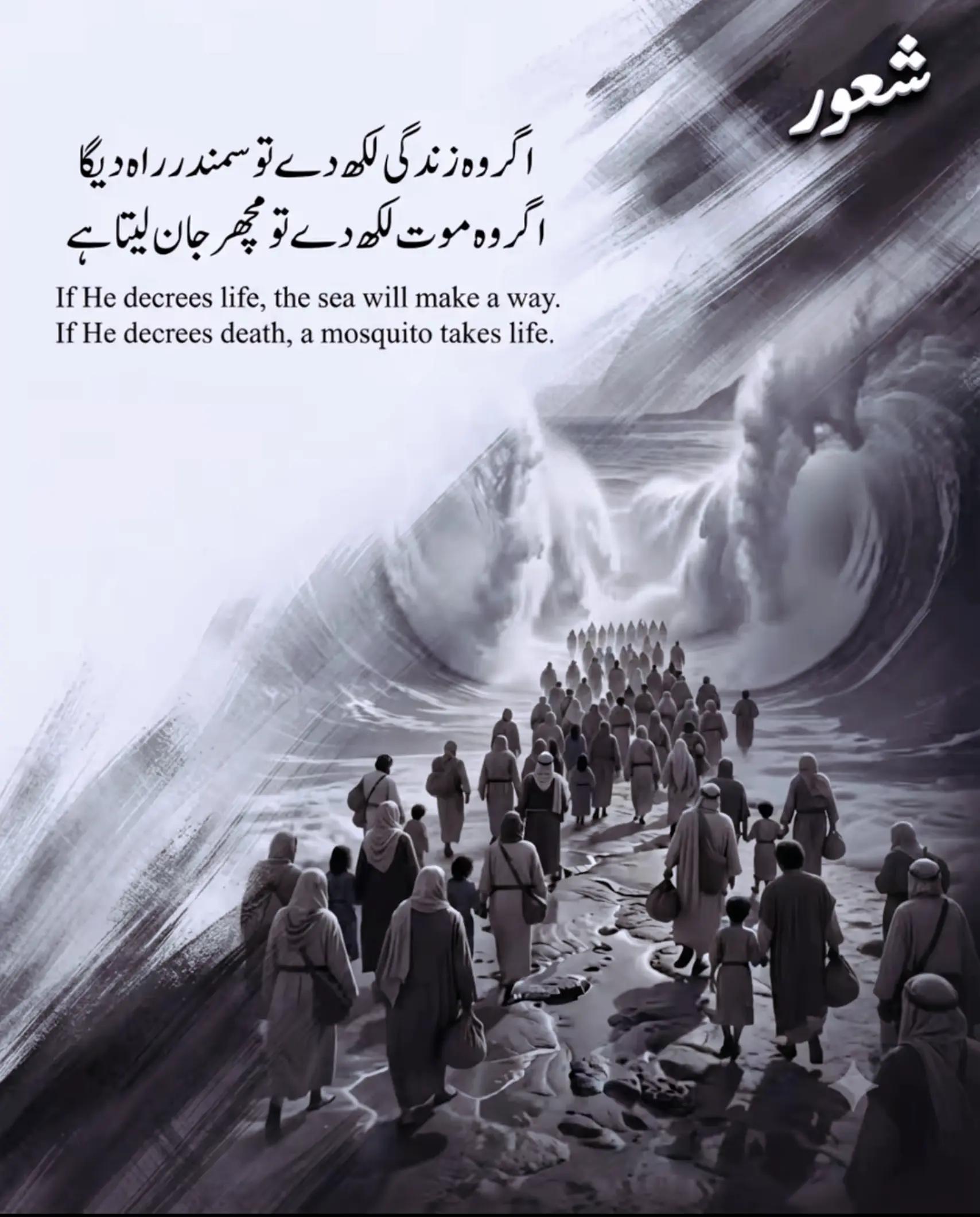 @Arsalan Ahmed (AA)