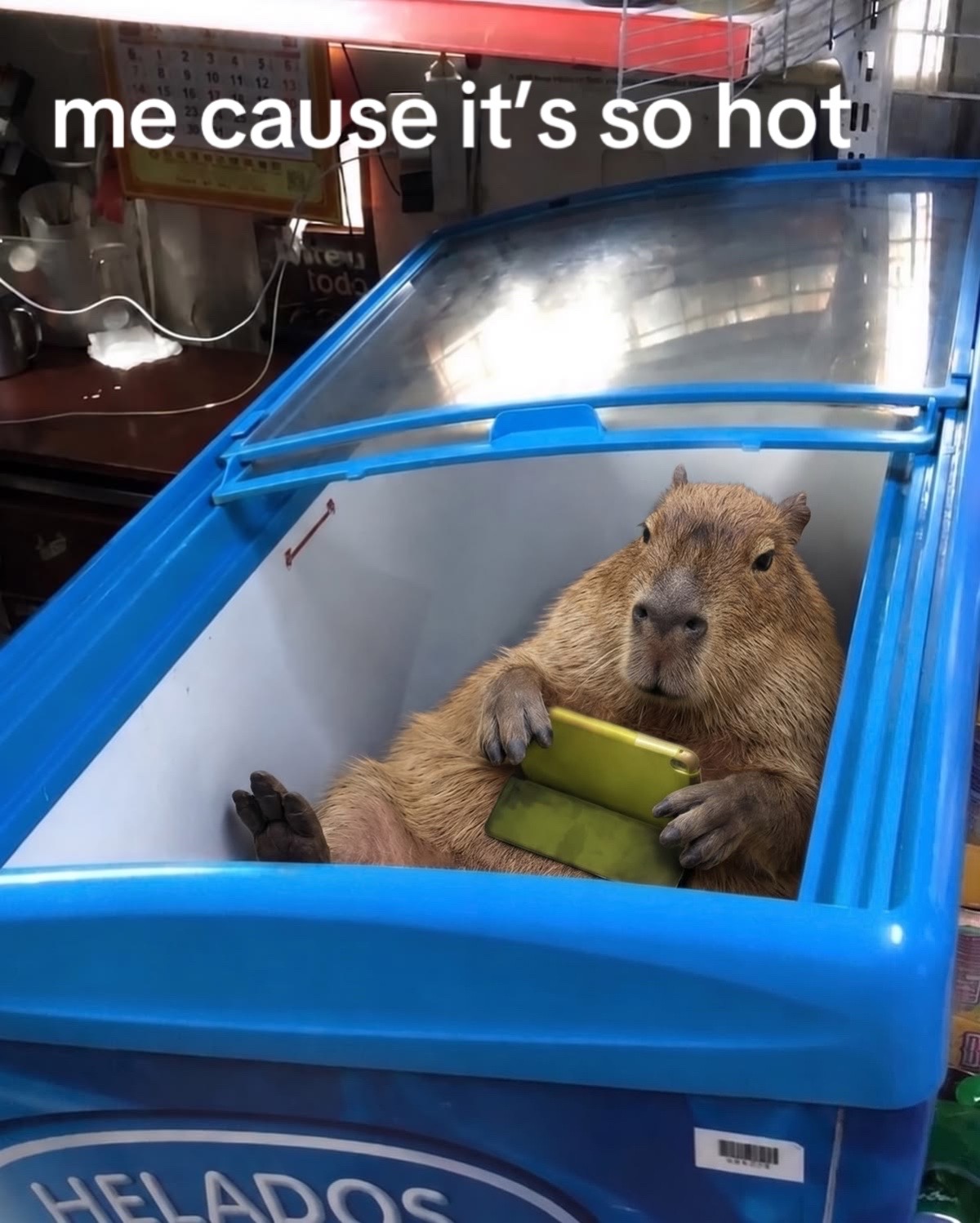 @chilllcapy