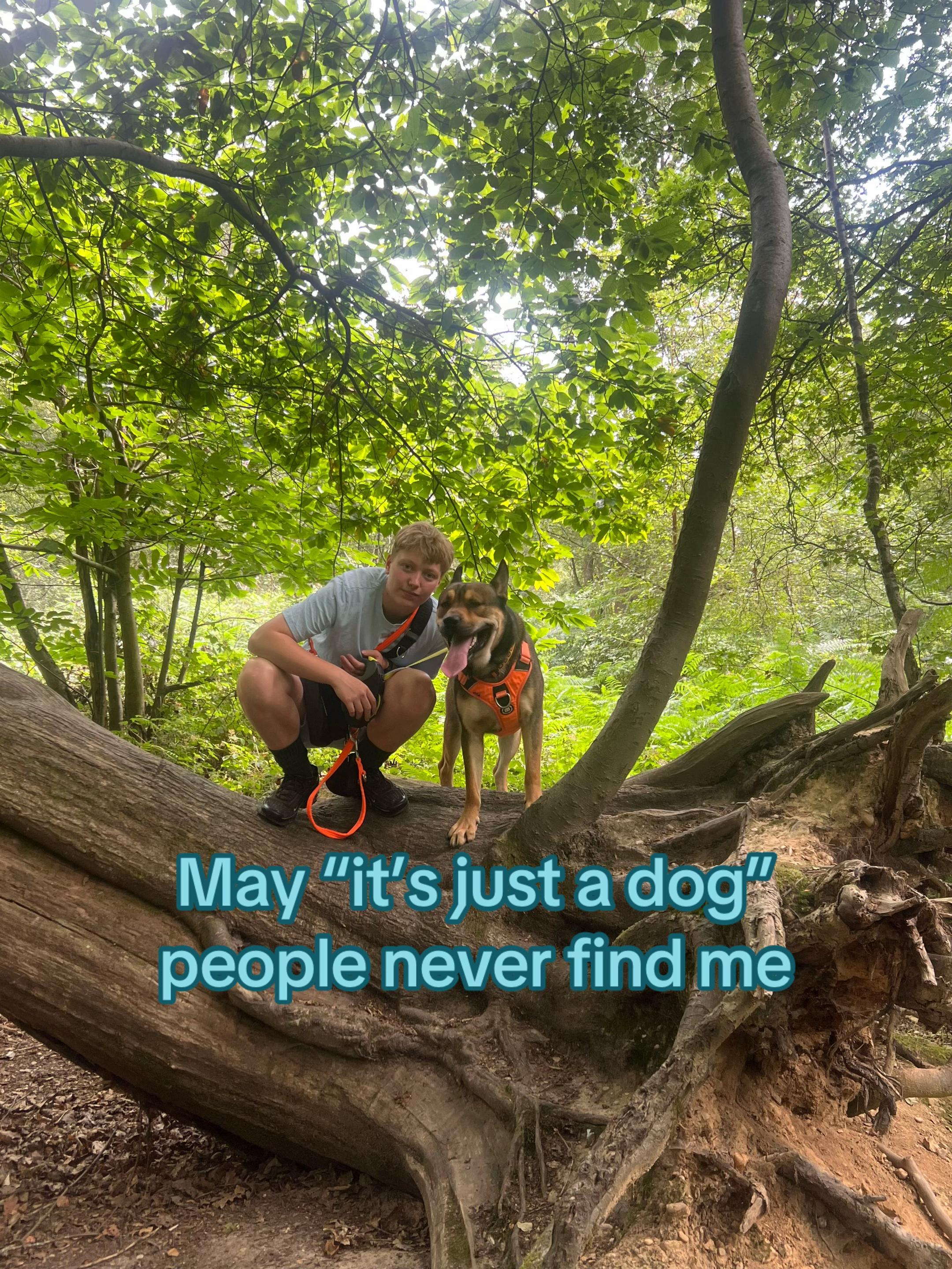 @RockyTheMutt