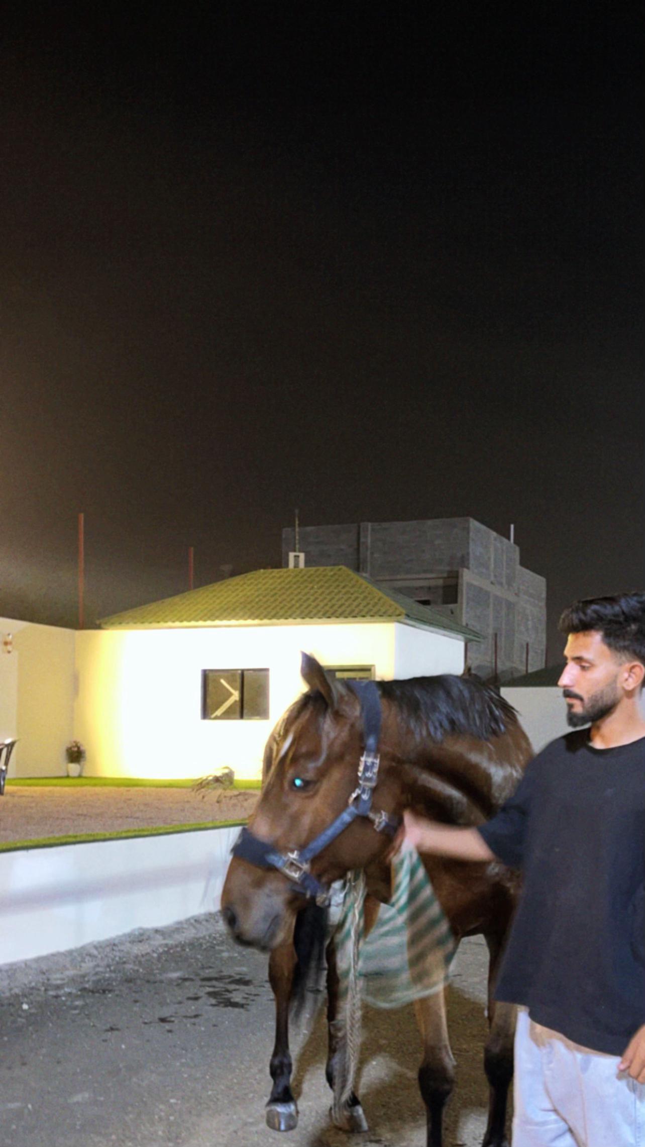 @عبدالله العتيبي .