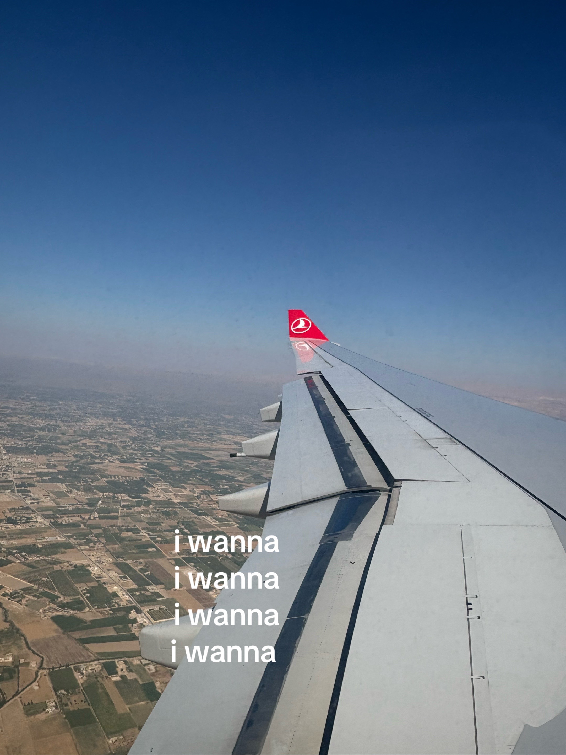 @Lulutaleb
