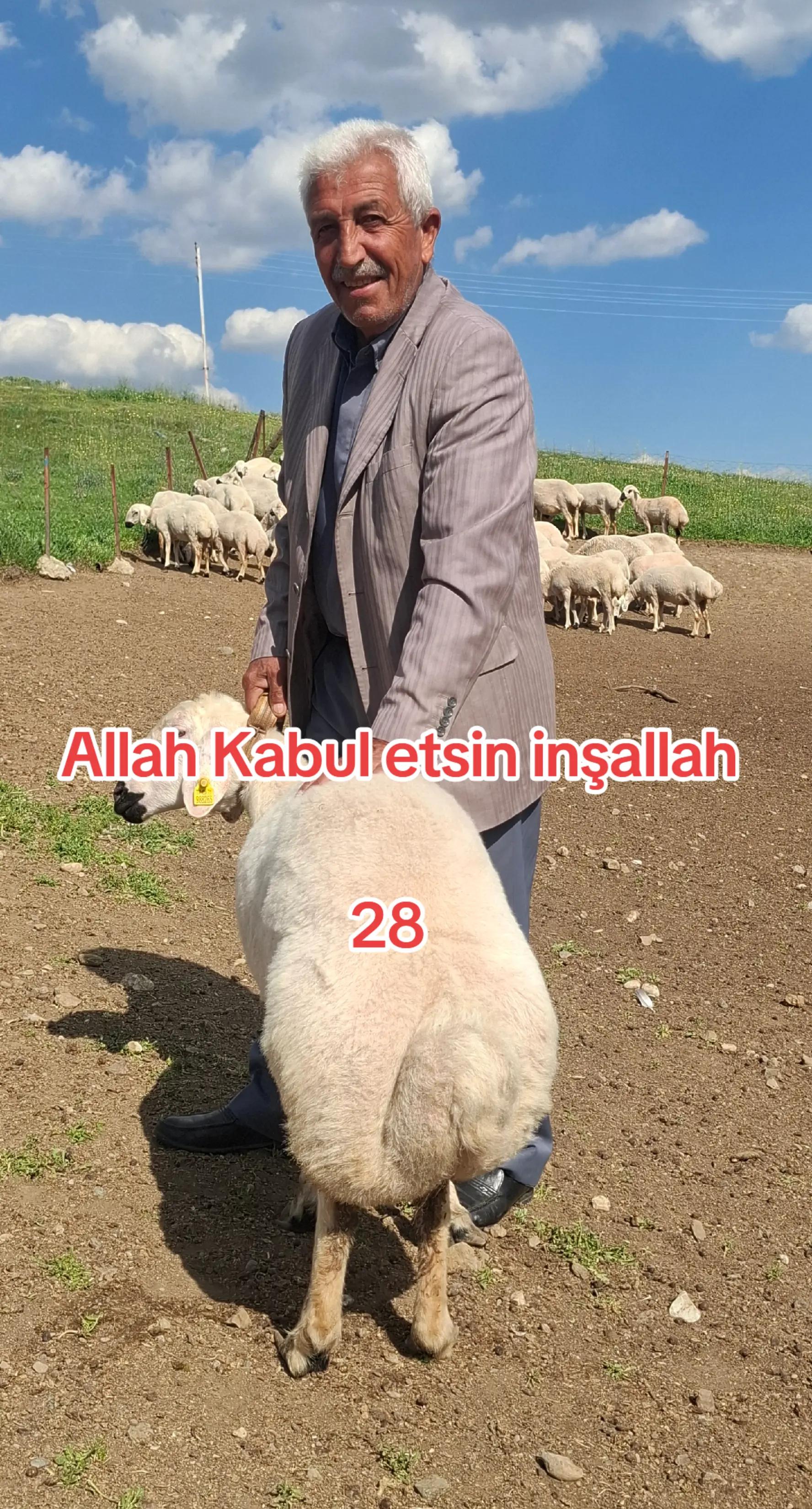 @✎﹏﹏𝐾𝑎𝑑𝑖𝑟 Ş𝑎ℎ&icirc;𝑛﹏﹏