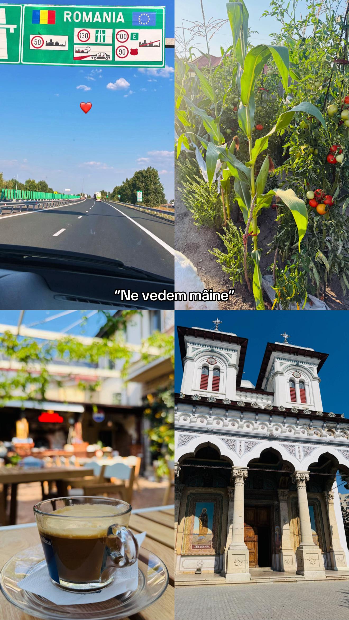 @daaria🇷🇴