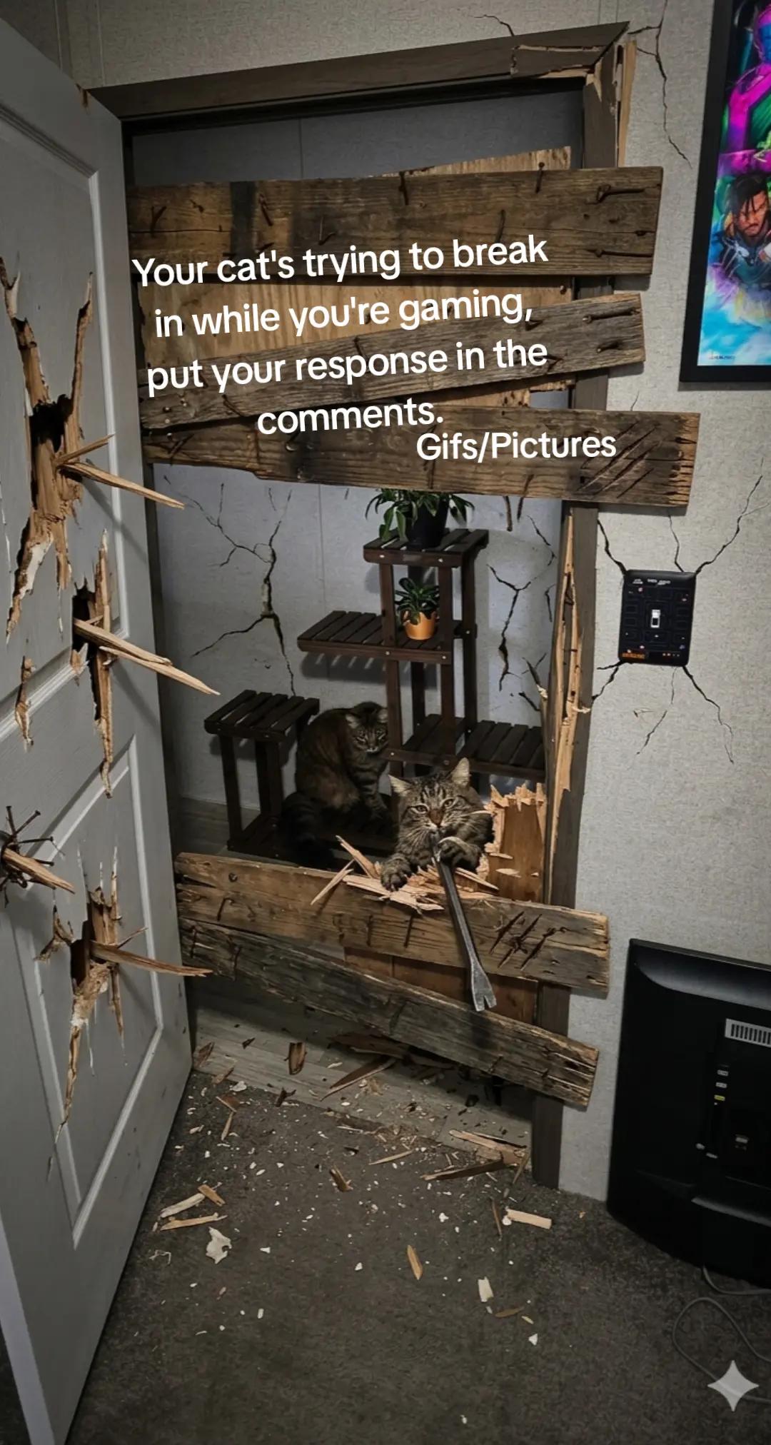@mAgNUS