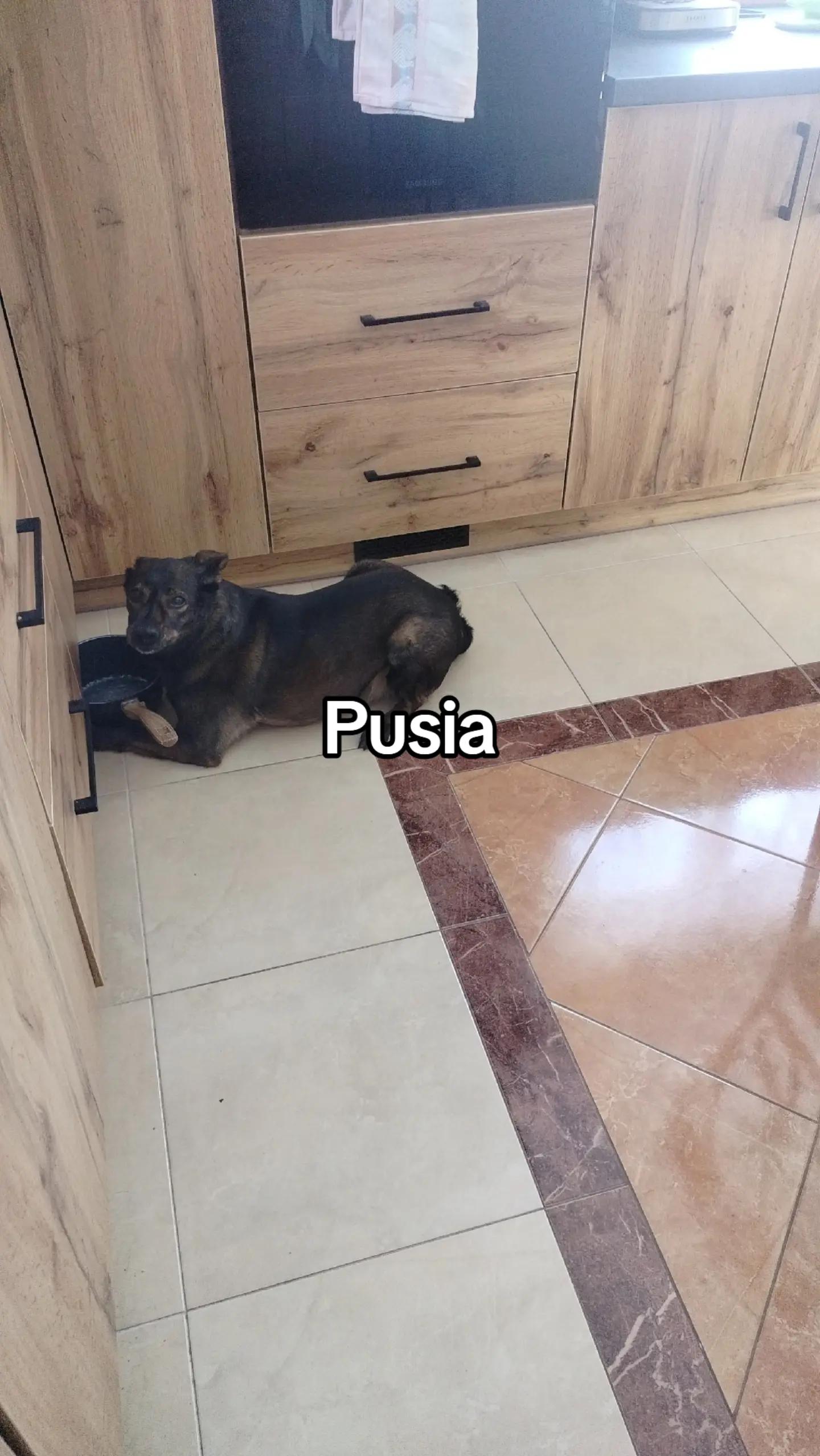 @๐ต๐ฑMarta๐ฆ