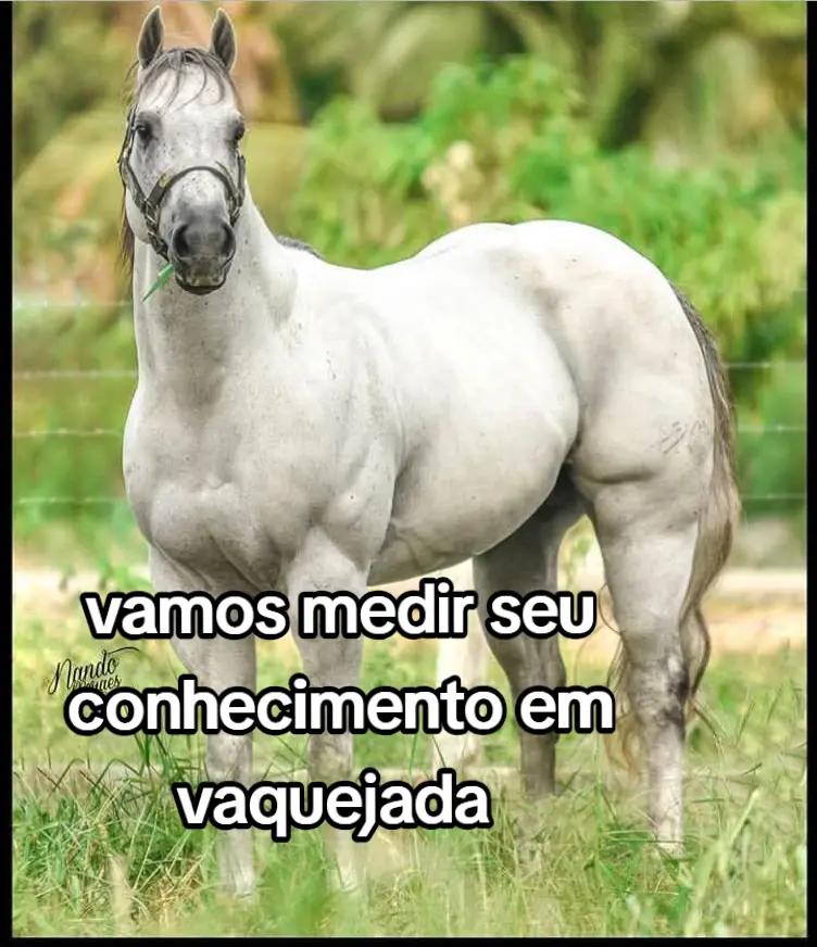 @Kauã Gabriel
