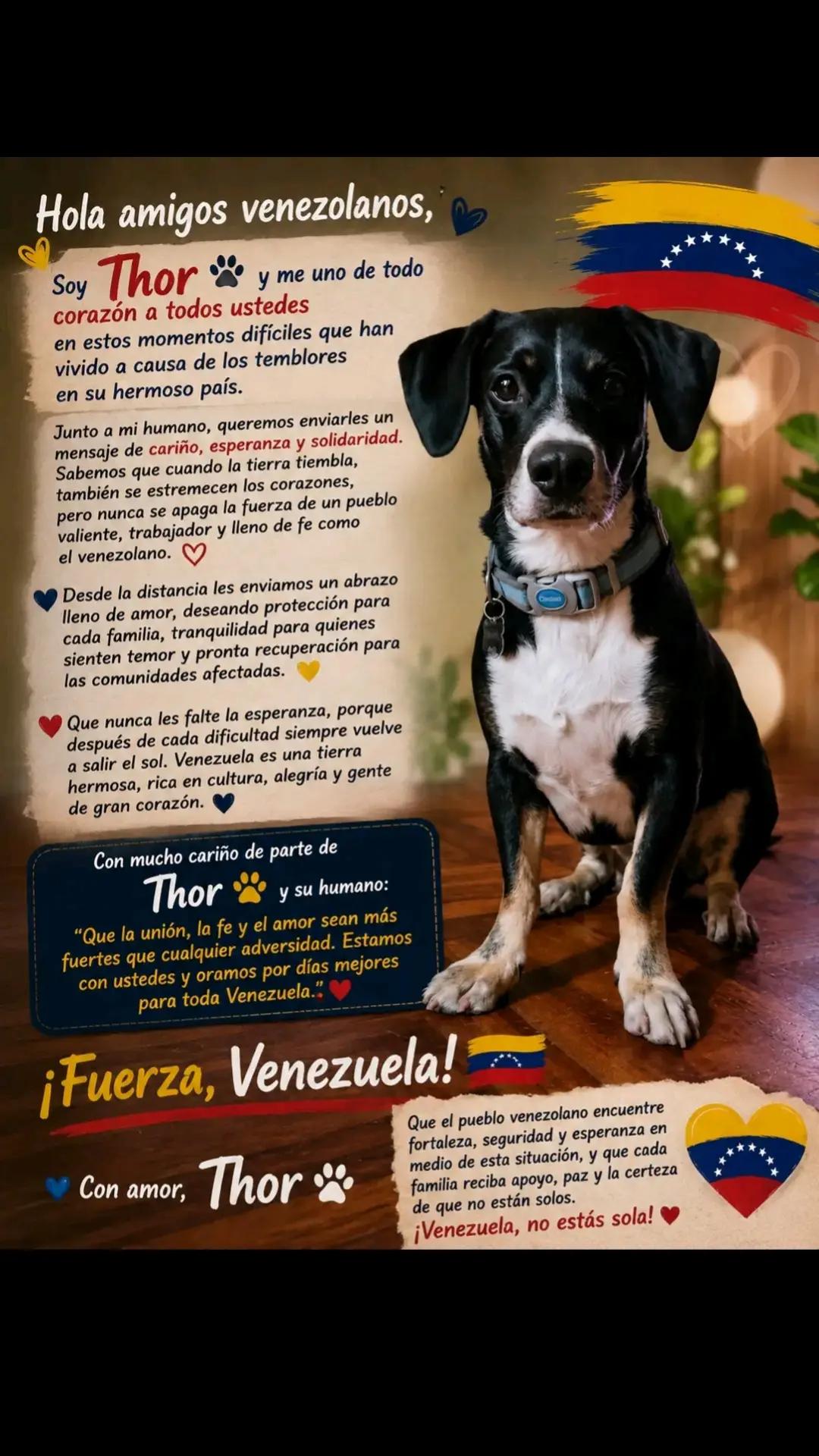 @Thor y Linda 🐾🐕❤️