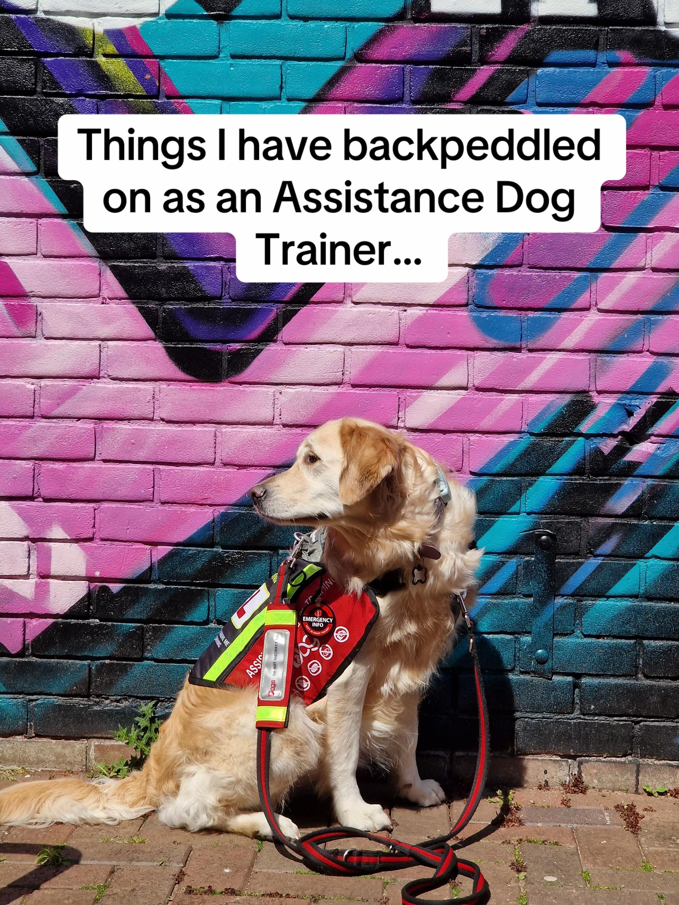 @Infinity Dogs CIC