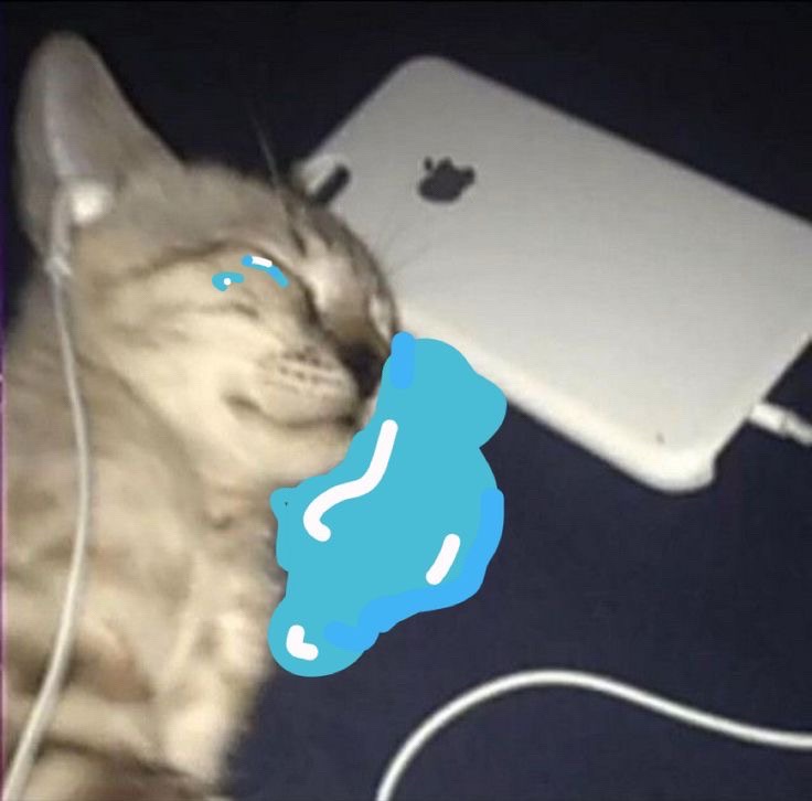 @ren :3