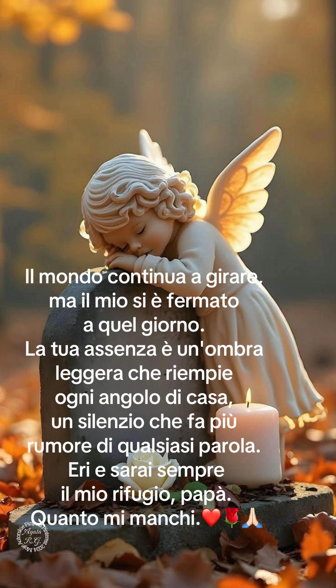 @🎀ROSA PARATO🎀