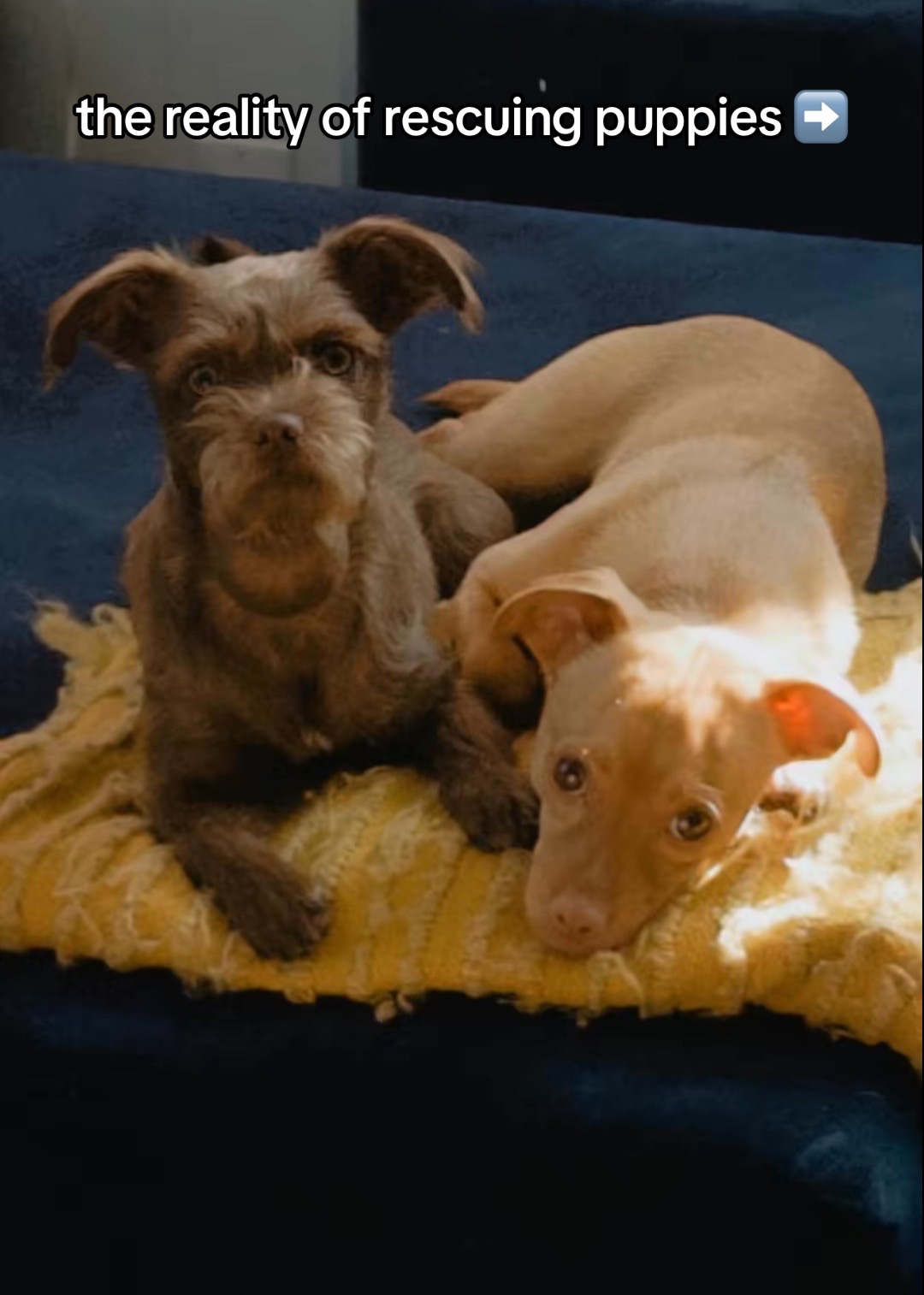 @ronan