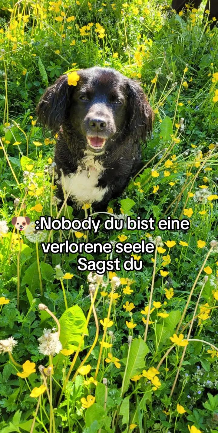 @𖤐𝓝𝓸𝓫𝓸𝓭𝔂𖤐