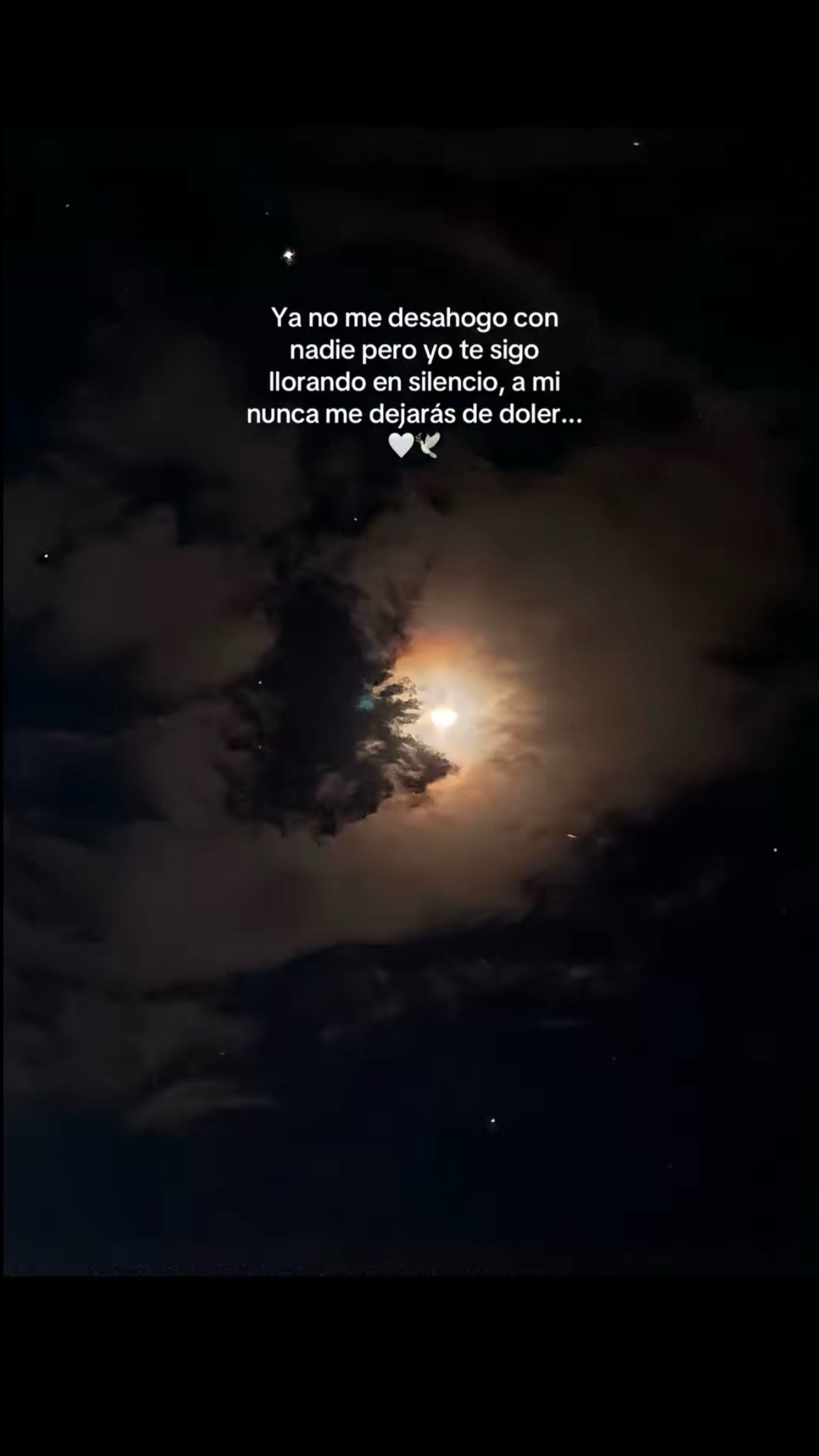 @🦋Luz.Nolasco🥀💔😰