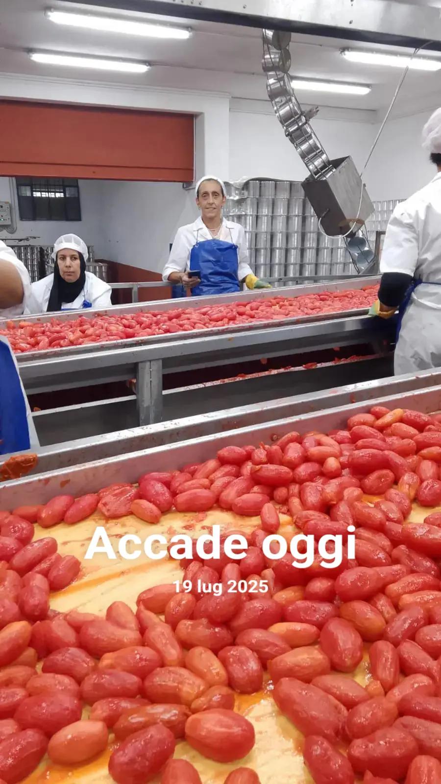 @Anna Maria Caliendo