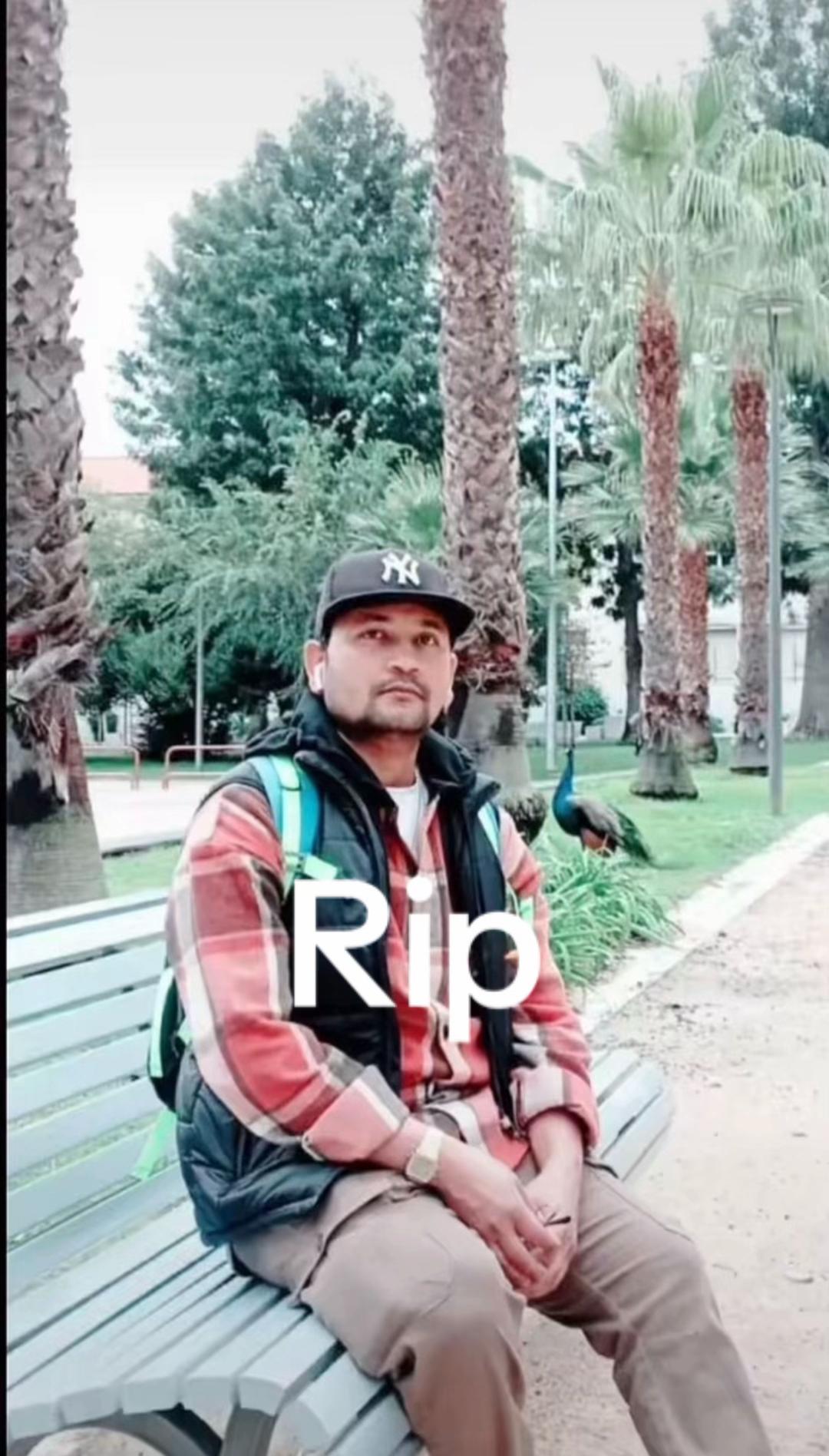 @rankk211